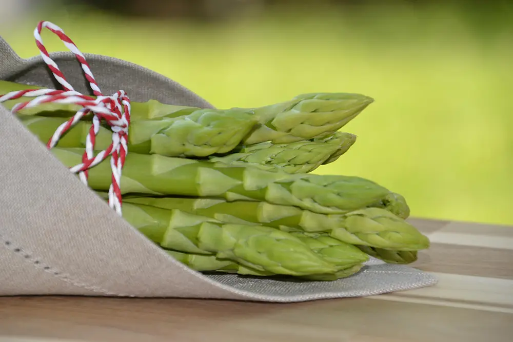 Bündel grüner Spargel mit Kordel